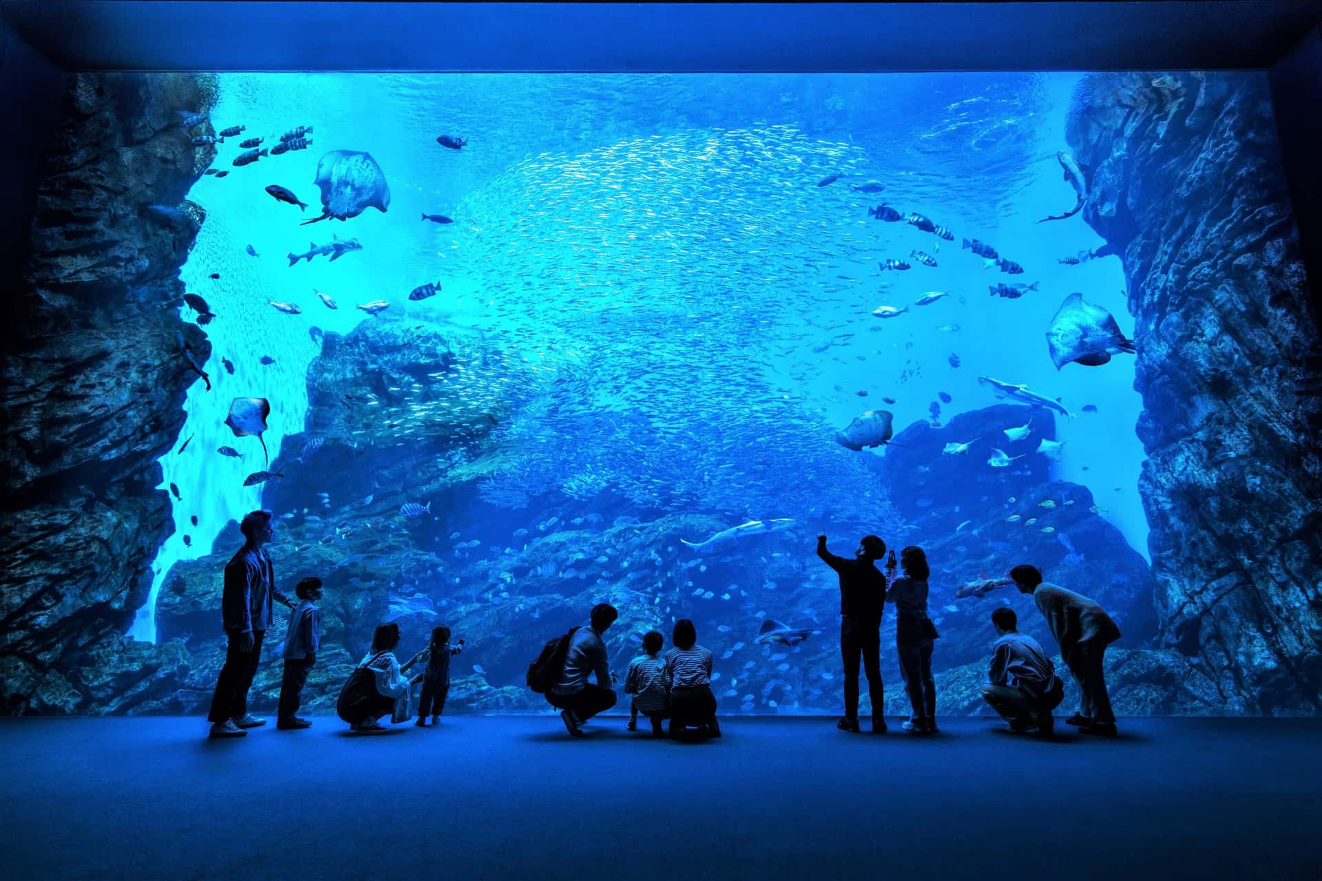 [Japan | Sendai] Sendai Marine Forest Aquarium admission ticket