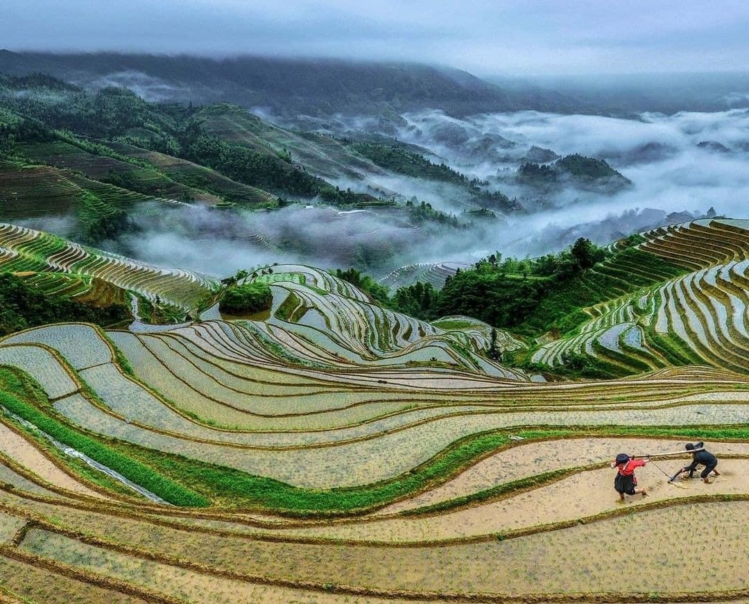 【桂林旅行團】4天桂林 不設購物點  (西九龍往返) 