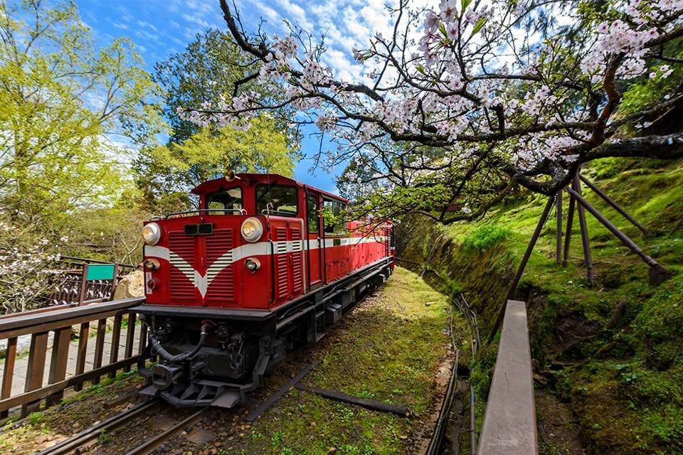 【台灣團】6天 高雄、嘉義、阿里山、台中 (日光溫泉會館)、 台北